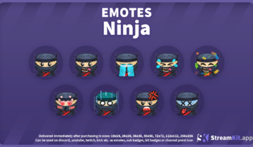 Ninja